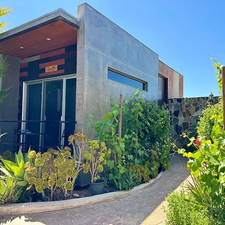Entre Vides Valle de Guadalupe Exterior foto