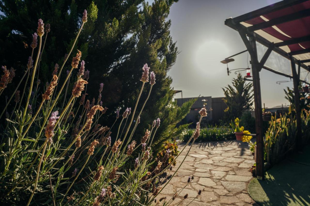 Entre Vides Valle de Guadalupe Exterior foto