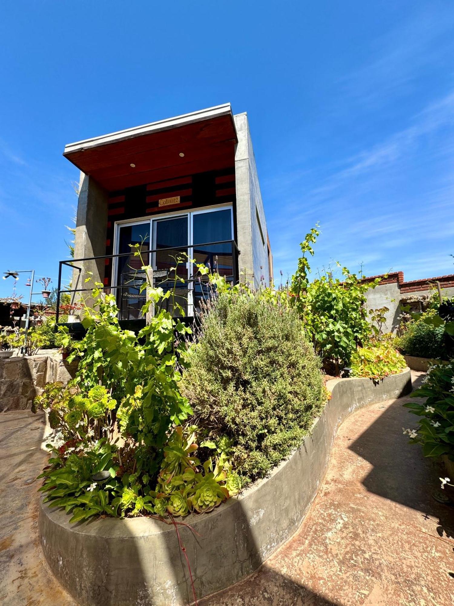 Entre Vides Valle de Guadalupe Exterior foto